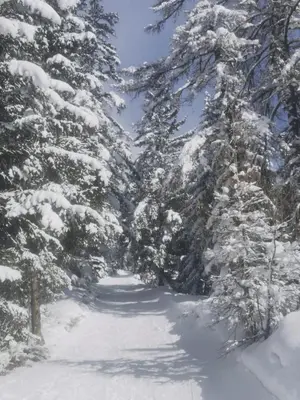 Edelweiss Anzère im Winter