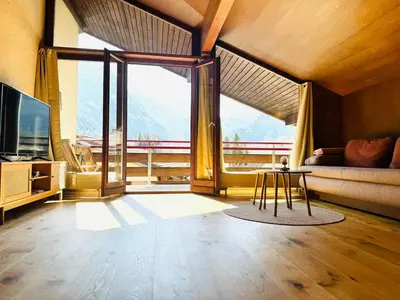 TV/Unterhaltungsangebot in der Unterkunft Amazing River and Mountain View Apartment