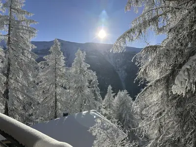 Naturlandschaft in der Nähe des Chalets