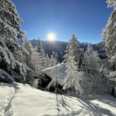 Chalet Chalet Soldanella - BEL205 by Interhome