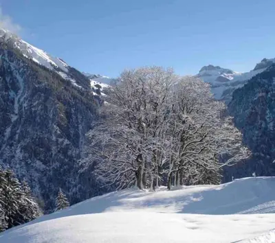 Bijoux mit Blick auf Blüemlisalp im Winter