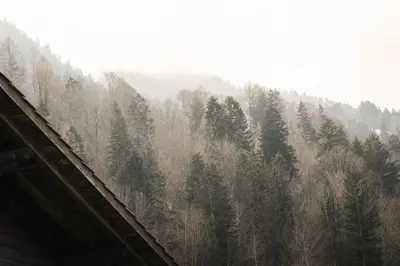 Naturlandschaft in der Nähe der Ferienwohnung