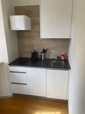 Küche/Küchenzeile in der Unterkunft Hotel des Alpes