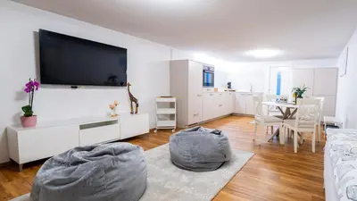 TV/Unterhaltungsangebot in der Unterkunft Thunersee Retreat