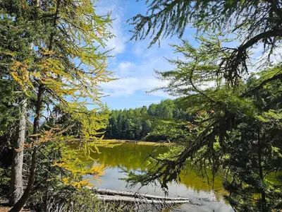 Naturlandschaft in der Nähe der Ferienwohnung