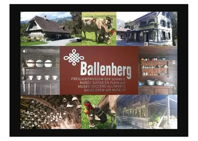 Ein Zertifikat, Auszeichnung, Logo oder anderes Dokument, das in der Unterkunft Fewo 'Alpegärtli' BeO Apartments ausgestellt ist