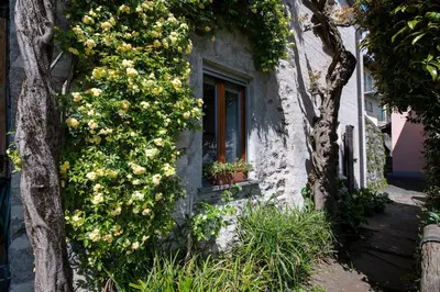 Ein Garten an der Unterkunft Casa Banfi