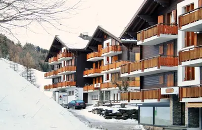 Mayens de l Ours DZ 130 - MOUNTAIN apartment 8 pers im Winter