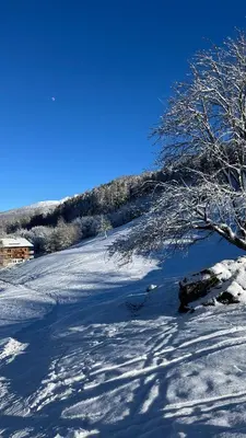 Mayens de l Ours CZ 030 - MOUNTAIN apartment 6 per im Winter