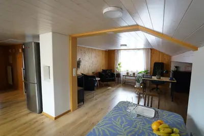 TV/Unterhaltungsangebot in der Unterkunft KIENHOLZ by Stay in Brienz