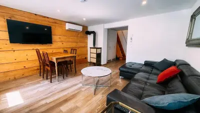 TV/Unterhaltungsangebot in der Unterkunft The Timber Apartment in Brienz