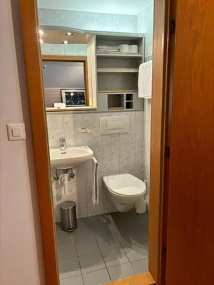 Ein Badezimmer in der Unterkunft Alpina Boutique Hotel Interlaken - Ringgenberg - Adults only !