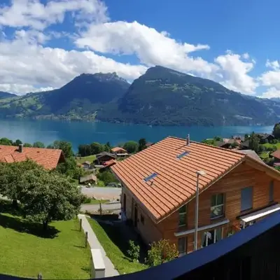 Bellevue-Bären