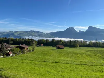 Naturlandschaft in der Nähe der Ferienwohnung