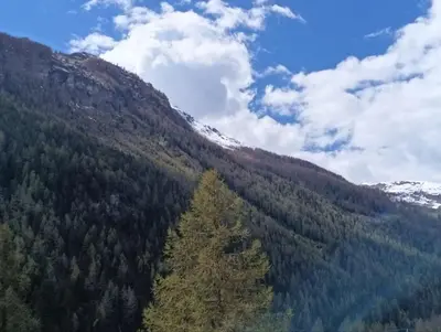Naturlandschaft in der Nähe des Chalets