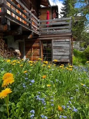Ein Garten an der Unterkunft Grange de Fonville - Evolène - Valais