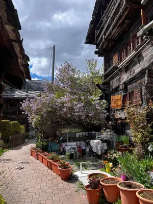 Ein Garten an der Unterkunft Grange de Fonville - Evolène - Valais