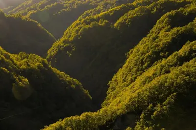 Naturlandschaft in der Nähe der Ferienwohnung