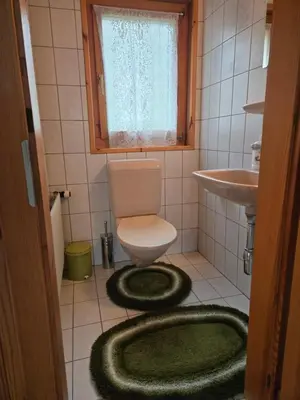 Ein Badezimmer in der Unterkunft Duplex Salgesch