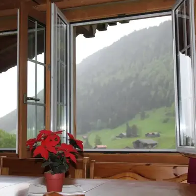 The Saxeten alps