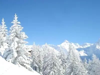 Grundriss der Unterkunft Chalet Bergfriede