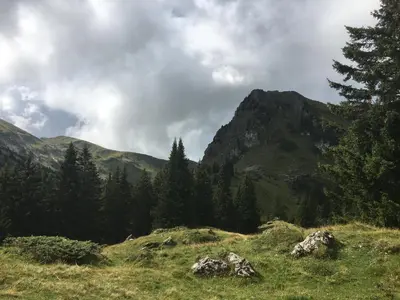 Naturlandschaft in der Nähe der Ferienwohnung