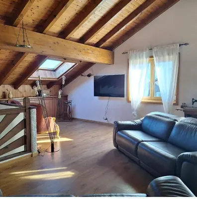 TV/Unterhaltungsangebot in der Unterkunft Birdy's House, duplex jusqu'à 9 pers à Savièse