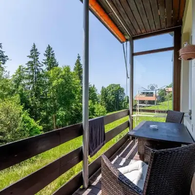 Balcony and Terrace with View and 15min to Interlaken