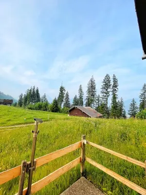 Naturlandschaft in der Nähe der Ferienwohnung