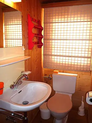 Ein Badezimmer in der Unterkunft Chalet Le Recoulet 8 personnes - Evolene