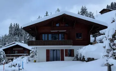Chalet Schneelöwe im Winter