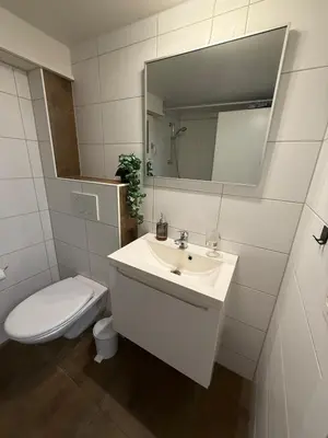 Ein Badezimmer in der Unterkunft Appartment Happy Life - Wimmis - near Spiez-Thun- Interlaken