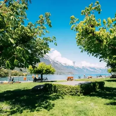 Lakeside Olti Apartment near Interlaken