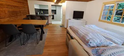 TV/Unterhaltungsangebot in der Unterkunft Chalet Bernadette
