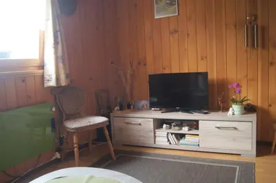 TV/Unterhaltungsangebot in der Unterkunft Fluehüsli