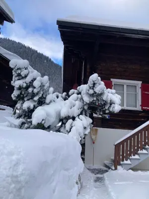 Uf em Schloss im Winter
