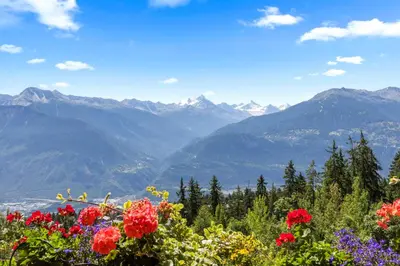 Naturlandschaft in der Nähe der Ferienwohnung