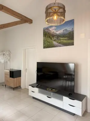 TV/Unterhaltungsangebot in der Unterkunft LOFT WINTERZEIT - NEAR INTERLAKEN SPIEZ THUN - Wandern und Skifahren