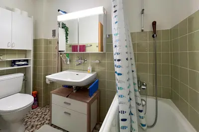 Ein Badezimmer in der Unterkunft Classic Swiss Mountain Panorama
