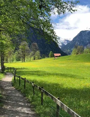Naturlandschaft in der Nähe der Ferienwohnung