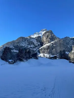 Ein allgemeiner Bergblick oder ein Berglick von der Ferienwohnung aus