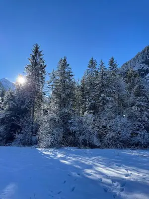 Cute chalet in Kandersteg im Winter