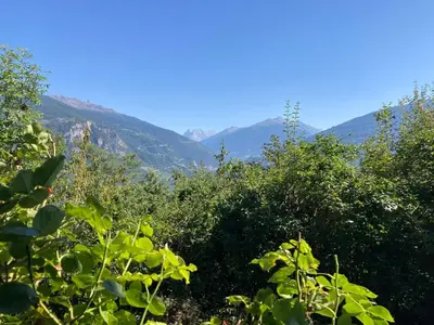 Naturlandschaft in der Nähe der Ferienwohnung