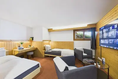 TV/Unterhaltungsangebot in der Unterkunft Central suite to stay for 2 experience Saas-Fee