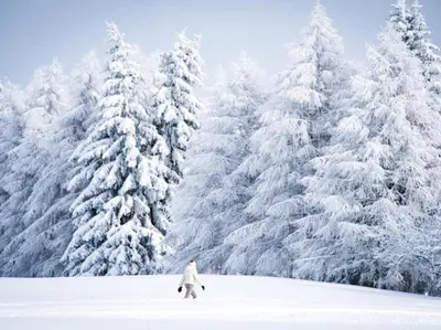 Crans-Montana - FABULOUS 2-bedroomed flat im Winter