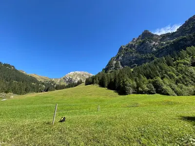 Naturlandschaft in der Nähe der Ferienwohnung