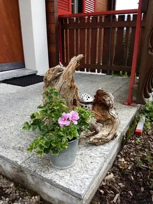 Ein Garten an der Unterkunft Bel-Häx