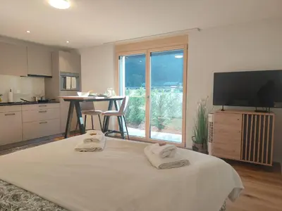 TV/Unterhaltungsangebot in der Unterkunft Blausee 5min / Interlaken 20min / gratis Parkplatz