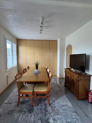 TV/Unterhaltungsangebot in der Unterkunft Apartment Thun - Lake view - for 6 guests