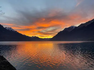 Grundriss der Unterkunft Holidays on Lake Brienz